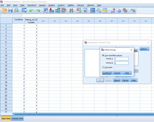 Screenshot of SPSS document